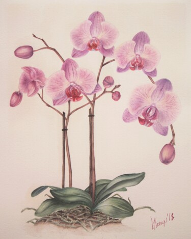 Картина под названием ""The orchids"" - Валерия Кемпи, Подлинное произведение искусства, Акварель