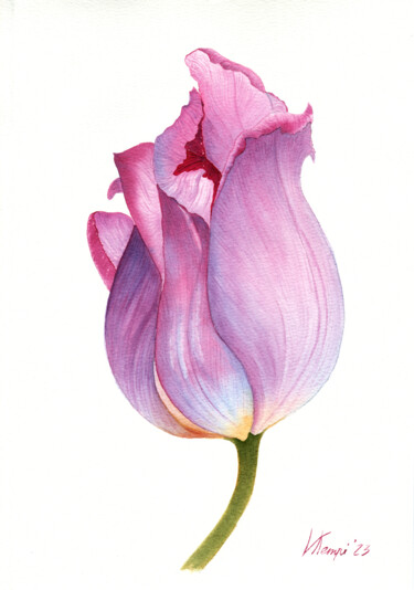 Painting titled ""Violet tulip"" by Valeriia Kempi, Original Artwork, Watercolor