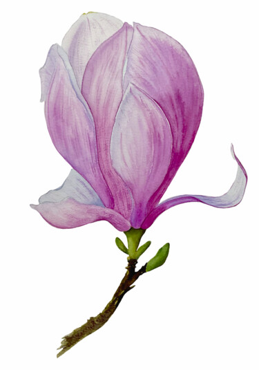 Peinture intitulée ""Magnoly"" par Valeriia Kempi, Œuvre d'art originale, Aquarelle
