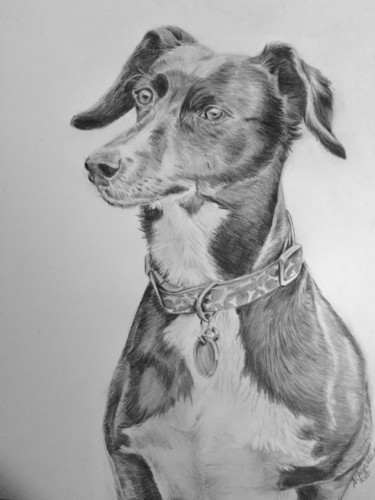 Drawing titled "Slinky" by Annie Chapdelaine, Original Artwork, Graphite