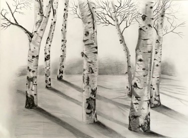 Dessin intitulée "Silver birches" par Annie Chapdelaine, Œuvre d'art originale, Crayon