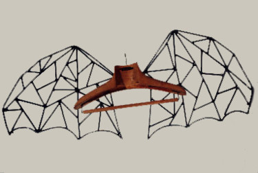 Escultura intitulada "o poder das asas" por Gonçalo Condeixa, Obras de arte originais