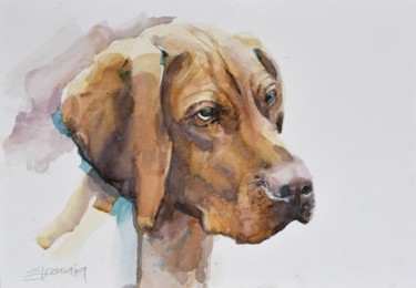 Painting titled "(tête de chien (Dog…" by Goran Žigolić (watercolors), Original Artwork, Watercolor