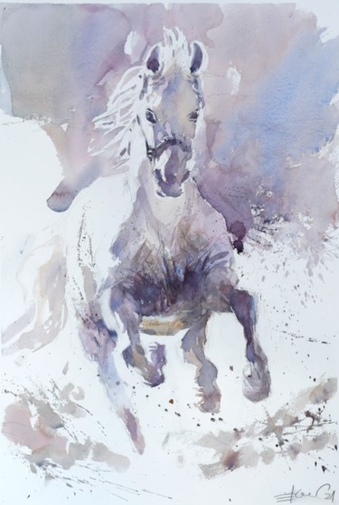 Pintura intitulada "Cheval Blanc 2 (Whi…" por Goran Žigolić (watercolors), Obras de arte originais, Aquarela