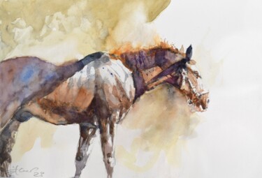 Malarstwo zatytułowany „Horse steam 6” autorstwa Goran Žigolić (watercolors), Oryginalna praca, Akwarela