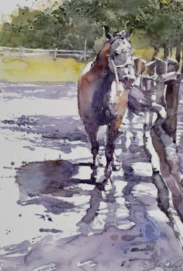 Malerei mit dem Titel "Horse in the shadow" von Goran Žigolić (watercolors), Original-Kunstwerk, Aquarell