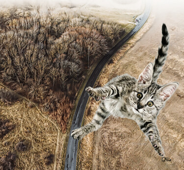 Arts numériques intitulée "freefall" par Gor Don(Gnie), Œuvre d'art originale, Photo montage