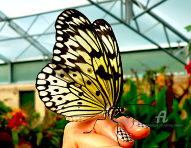 Fotografie mit dem Titel "butterfly house cen…" von Gor Don(Gnie), Original-Kunstwerk, Digitale Fotografie