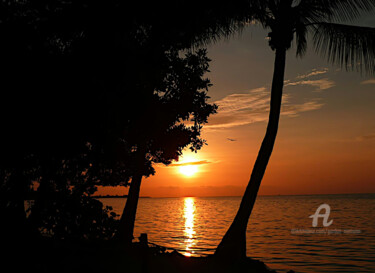 Fotografie mit dem Titel "sunrise dog beach k…" von Gor Don(Gnie), Original-Kunstwerk, Digitale Fotografie