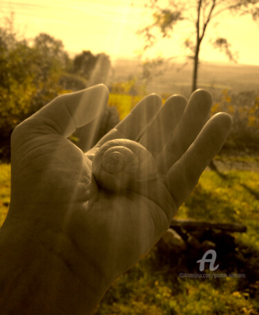 Photography titled "snail shell in hand" by Gor Don(Gnie), Original Artwork, Digital Photography