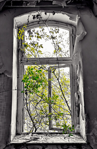 Fotografía titulada "forgotten house cen…" por Gor Don(Gnie), Obra de arte original, Fotografía digital