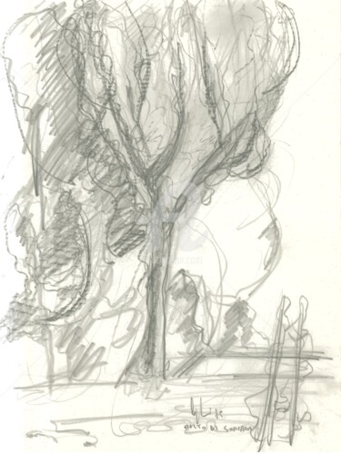 Drawing titled "orto-di-goriano-val…" by Bruno, Original Artwork, Pencil