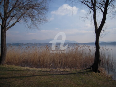 Fotografia intitolato "vegetazione-lago-di…" da Bruno, Opera d'arte originale