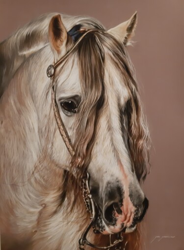 Schilderij getiteld "Caballo blanco" door Gorka Gonzalez Crespo, Origineel Kunstwerk, Olie Gemonteerd op Frame voor houten b…