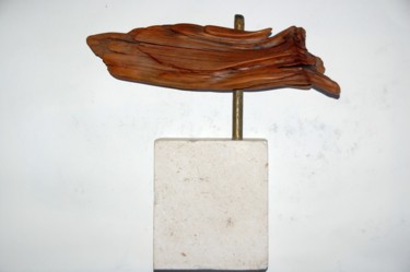 Sculpture intitulée "Banc de nage" par Pag, Œuvre d'art originale, Bois