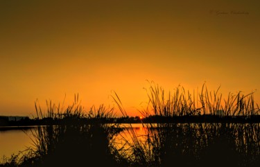 Photography titled "Golden Sunset!" by Goutam Chakraborty, Original Artwork