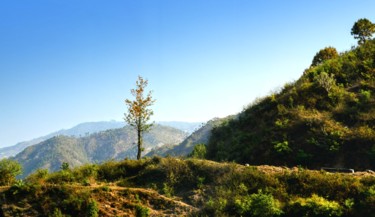 Photography titled "The Lone Ranger!" by Goutam Chakraborty, Original Artwork