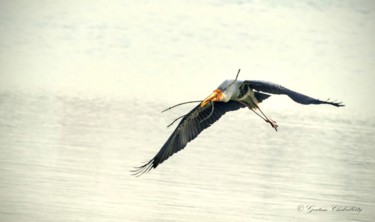 Photography titled "Parenting is really…" by Goutam Chakraborty, Original Artwork