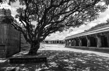 Photography titled "Temple Tree !" by Goutam Chakraborty, Original Artwork