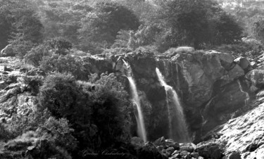 Photography titled "Wild Karnataka!" by Goutam Chakraborty, Original Artwork