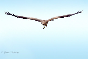 Photographie intitulée "I have earned this!" par Goutam Chakraborty, Œuvre d'art originale, Photographie numérique