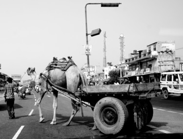 Photography titled "In the land of King…" by Goutam Chakraborty, Original Artwork, Digital Photography