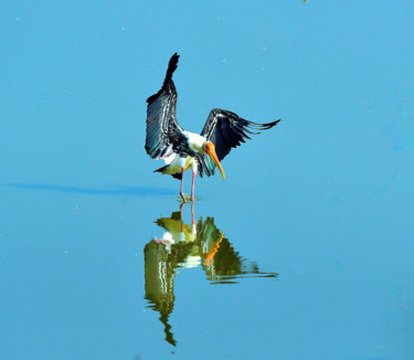 Fotografia zatytułowany „Beautiful Creature-3” autorstwa Goutam Chakraborty, Oryginalna praca, Fotografia cyfrowa