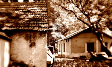 Photography titled "Old Firm House!" by Goutam Chakraborty, Original Artwork