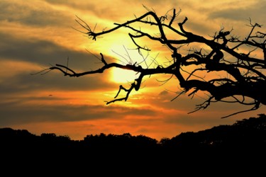 Fotografie getiteld "A glorious Sunset i…" door Goutam Chakraborty, Origineel Kunstwerk