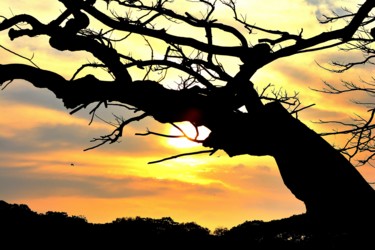 Photographie intitulée "A glorious Sunset i…" par Goutam Chakraborty, Œuvre d'art originale