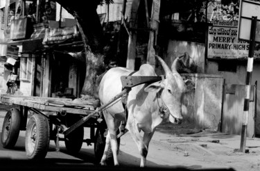 Photography titled "Wheel of Time-III" by Goutam Chakraborty, Original Artwork