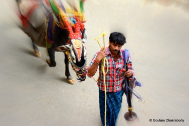 Photography titled "Man with Holy Cow i…" by Goutam Chakraborty, Original Artwork