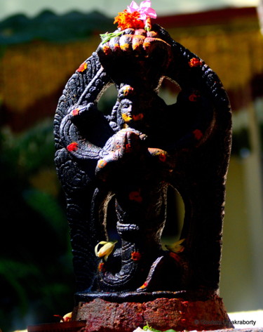 Photography titled "The Snake God!" by Goutam Chakraborty, Original Artwork