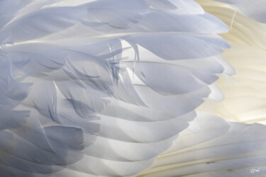 Photographie intitulée "L'ange gardien" par Graal, Œuvre d'art originale, Photographie numérique
