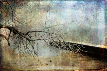 Photography titled "A Peaceful Moment" by Randi Grace Nilsberg, Original Artwork, Manipulated Photography