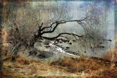 Photography titled "Silent Beach" by Randi Grace Nilsberg, Original Artwork, Manipulated Photography