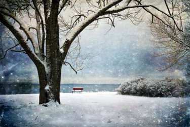 "Stories from a Bench" başlıklı Fotoğraf Randi Grace Nilsberg tarafından, Orijinal sanat, Dijital Fotoğrafçılık