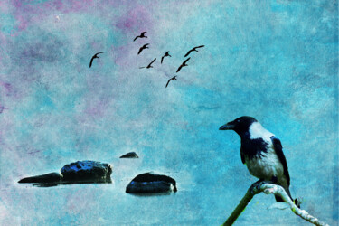 Digitale Kunst mit dem Titel "Bird of Wisdom" von Randi Grace Nilsberg, Original-Kunstwerk, Digitale Fotografie