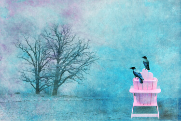 Arte digital titulada "Resting Crows" por Randi Grace Nilsberg, Obra de arte original, Fotografía digital