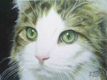 Painting titled "GATO,CAT,CHAT-OJOS…" by Manuel Granai, Original Artwork
