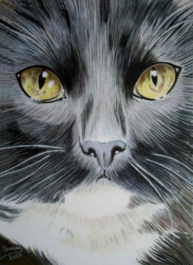 Painting titled "GATO,CAT,CHAT,GATTO…" by Manuel Granai, Original Artwork