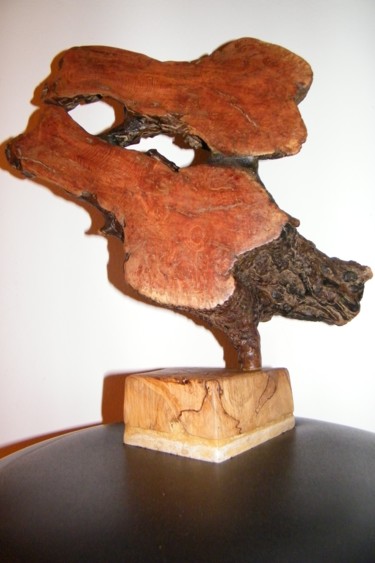Sculpture titled "reflets-dames-novem…" by Gérard Amat, Original Artwork, Wood