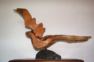 Sculpture titled "C'est Cado.jpg" by Gérard Amat, Original Artwork, Wood