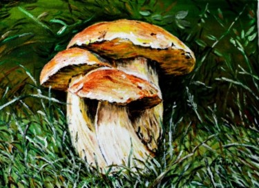 Painting titled "Funghi" by Grazia Calabrò, Original Artwork, Oil