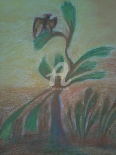 Painting titled "PLANTE DU DESERT" by Grazianna G..., Original Artwork, Pastel