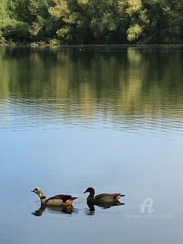 Fotografia zatytułowany „Medium” autorstwa Grazyna Hajewski, Oryginalna praca, Fotografia cyfrowa