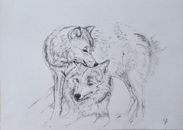 Drawing titled "Para wilków 05" by Grażyna Przybylak, Original Artwork, Pencil