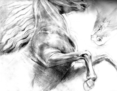 Drawing titled "cheval 41" by Grégory Geng, Original Artwork, Pencil