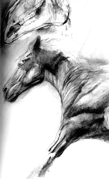 Drawing titled "cheval2" by Grégory Geng, Original Artwork, Pencil