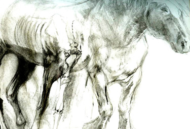 Dessin intitulée "cheval3" par Grégory Geng, Œuvre d'art originale, Crayon